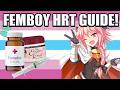 Femboy HRT Guide 