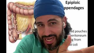 Epiploic Appendage (Appendagitis)