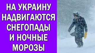 ПОГОДА НА 28 ДЕКАБРЯ : ПОГОДА НА ЗАВТРА