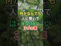 何がなんでも人に聞いてはいけない3つのこと #知恵 #名言 #開運 #雑学