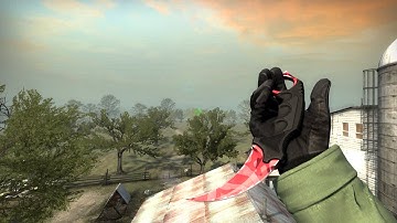 CS:GO Skin Show | Karambit Slaughter Factory New