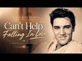 Can't Help Falling In Love (Reprise Version) | Emotional Pop Ballad | VibeFree Music