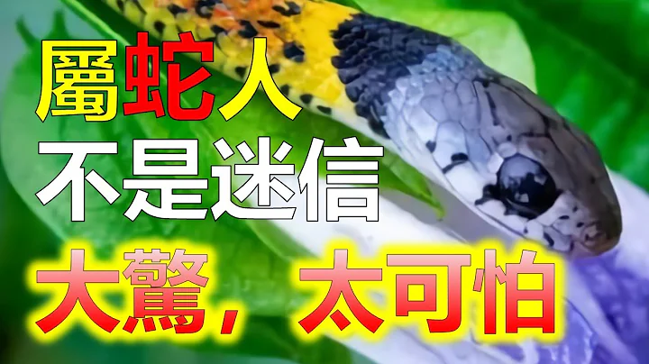 预测2024生肖运势，十二生肖属蛇人的命运是成功的。属蛇人能够克服困难并取得成功，属蛇人财富方面，取得了不错的成就。属蛇的人2024年运程，属蛇人今年容易与亲人关系疏离，属蛇人内心的孤独感倍增 - 天天要闻