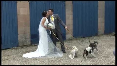 qml videos justine & matt wedding highlights