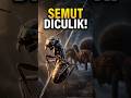SATU SEMUT DICULIK… BALASANNYA GILA!! 🐜🔥