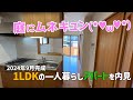 庭が素敵すぎる1LDK😍2024年9月完成の一人暮らし賃貸アパートを内見😆最新の賃貸物件にワクワクが止まらない🤩ルームツアーウィズみきゃん