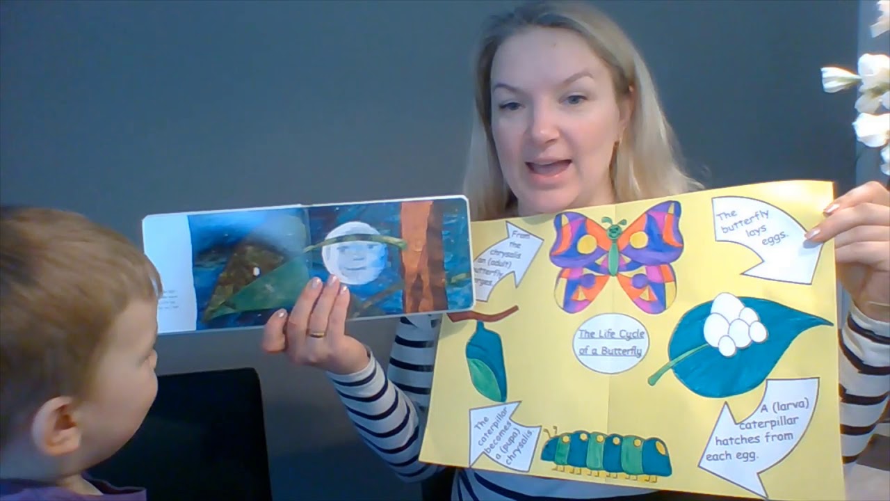 The Life Cycle of a Butterfly (inspired by the book "The Very Hungry ...