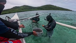 Download Lagu Hindi Kami Nabibigo Basta Dito! MP3