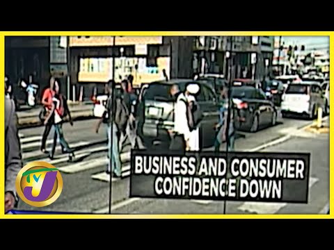 Business & Consumer Confidence Down | TVJ Business Day