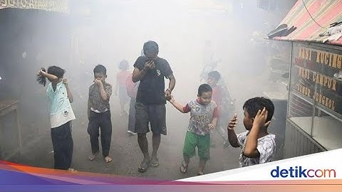 Kasus DBD di Jakarta Selatan: Tren Penurunan tapi Tetap Waspada