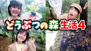 【リアルあつ森】カブトムシがたくさんいる森で借金返済するだなも!【あつまれどうぶつの森】【さがみ湖】