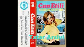 Can Etili - Gafil Gezme Saskin Resimi
