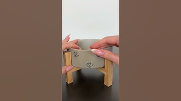 Image Transfers From StickerYou