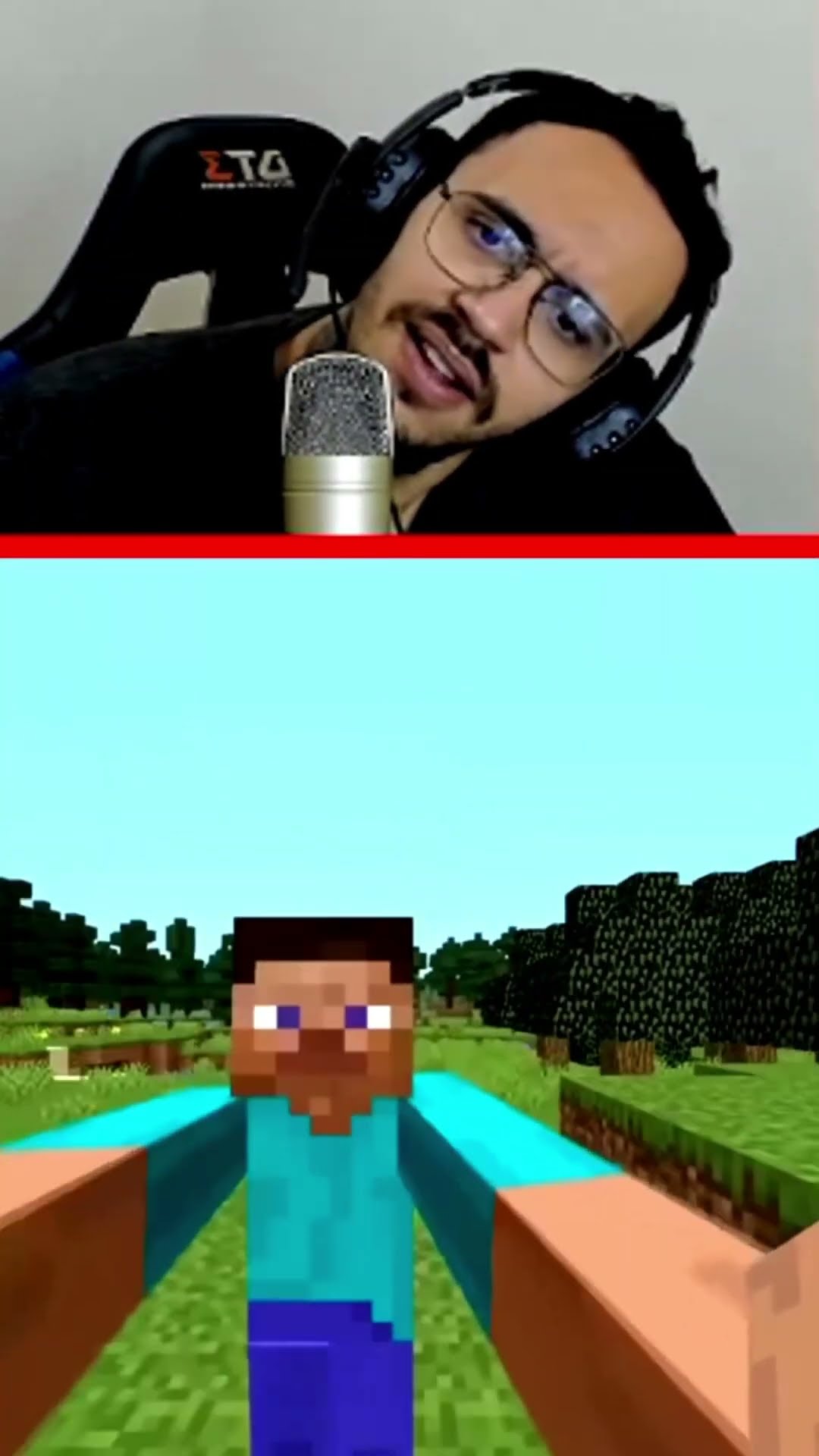 MINECRAFT NAO TÁ NORMAL