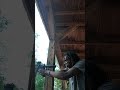 Forgot my range glasses🥸 #airsoft #range #frt