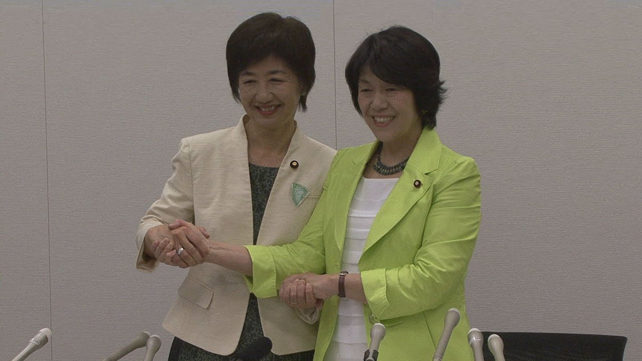 阿部氏、みどりに入党 政治団体「未来」存続 YouTube