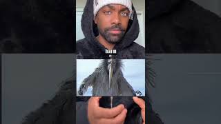 The story about the opium bird
