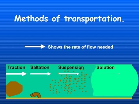 Video: Hvad er transportfloden?