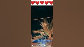 تلاوة نادرة للشيخ بدر المشاري 💓💓