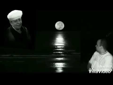 الشيخ ياسين التهامي قصيدة ستشرق الشمس