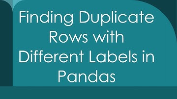Finding Duplicate Rows with Different Labels in Pandas