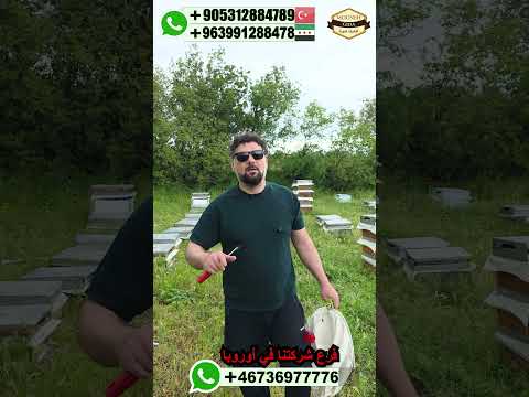 طائر الوروار اشرس اعداء النحل الوروار وروار عسل سوريا تركيا اوروبا المانيا غذائيات المونة