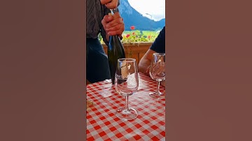 How To Open Wine Like A Pro | Bon Appétit #sjfoodfusion #sortsvideo #wine#trending #swizerland