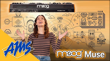 Need Inspiration? Let Moog be your Muse