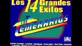 Watch Los Temerarios Ave De Recuerdo video