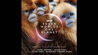The Golden Snub Nosed Monkeys | Seven Worlds One Planet OST