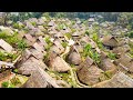 4kthe last primitive tribe in china wengding village the remnants of wa dance and culture