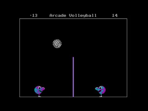 Arcade volleyball (PC