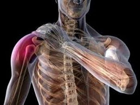 exercise 14.1 class 11 An Effective Self Treatment for Shoulder(Tendonitis, Impingement):Rib cage Expansion Rotation Test