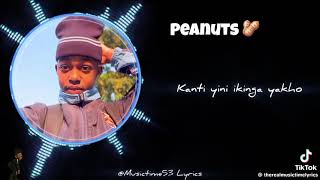 Uyaz'funa 🥜? @peanuts 🥜 #luluthopeanuts #akhanya #busisiwe #fypage #peanutssong 