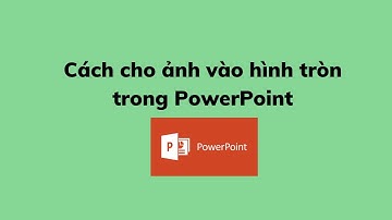 Cách cho ảnh vào hình tròn trong PowerPoint
