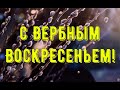 С Вербным Воскресеньем! Красивое поздравление на Вербное Воскресенье. Музыкальная открытка  #shorts