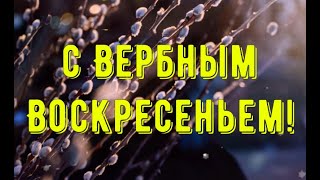 С Вербным Воскресеньем! Красивое поздравление на Вербное Воскресенье. Музыкальная открытка  #shorts