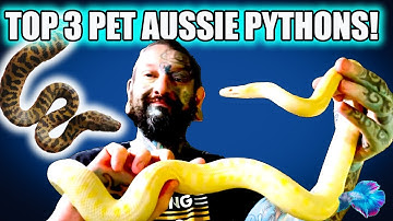 Top 3 Best Australian Beginner Snakes!