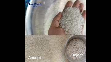 Rice Color Sorter  Machine 64 Chutes Color Sorting Grading Machine