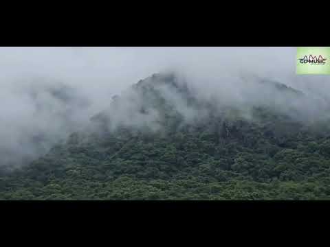 Panchhi Nadiyan Pawan Ke Jhonke Sonu Nigam Alka Yagnik Refugee Movie 2000