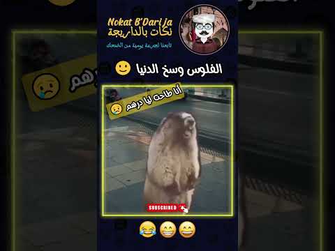 الفلوس وسخ الدنيا Nokat Memesvideos Nokat Maghribiya Memes كوميديا ضحك Meme ببجي 