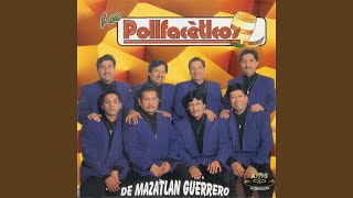 Video thumbnail of "Los Polifacéticos - Vuelve"