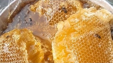 MẬT ONG KHOÁI RỪNG LAI CHÂU ĐÂY CÔ BÁC ƠI/0394313273