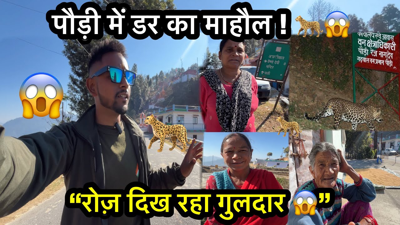 В Паури царит атмосфера страха! Ежедневно замечают леопардов. Жители деревни в ужасе.
