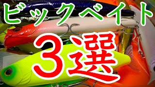[シーバス]実用性、コスパ重視のおすすめビッグベイトルアー3選をご紹介