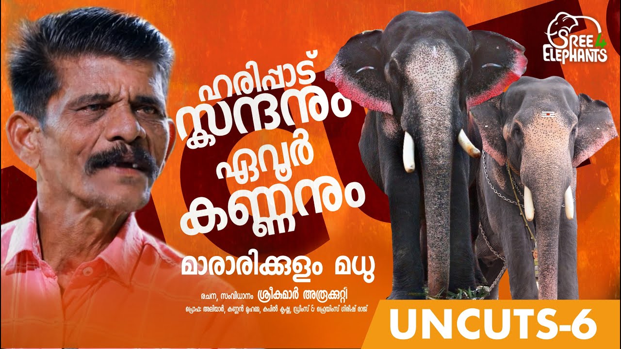 അഞ്ചു ദിവസം കൊണ്ടാണ് ഏവൂർ കണ്ണനെ അഴിച്ചെടുത്തത്. സ്കന്ദന് നല്ല മനസ്സാ ...!