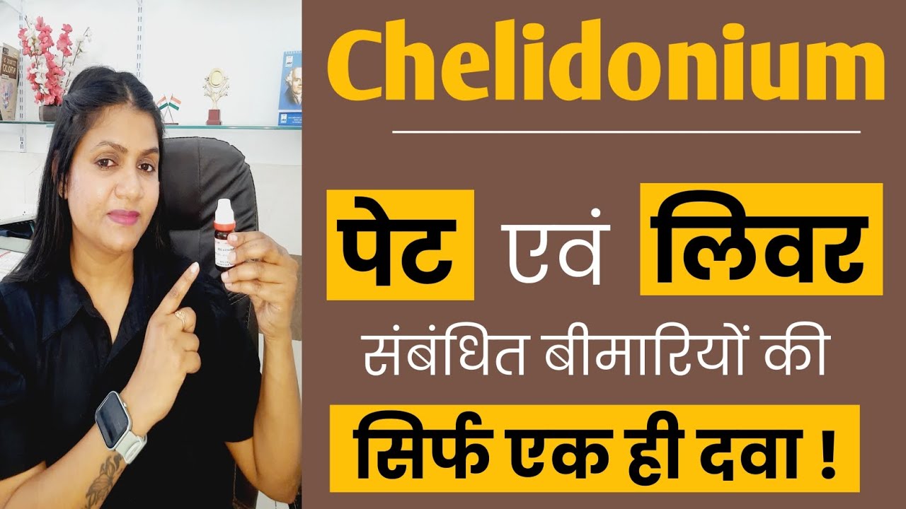Chelidonium majus q homeopathic medicine uses in hindi | Chelidonium majus for healthy liver