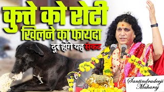 कुत्ते को रोटी खिलने का फायदा दूर होंगे यह संकट |कुत्ते को रोटी क्यों खिलाना चाहिए
