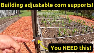 DIY Adjustable Corn Supports! Raised Bed Garden