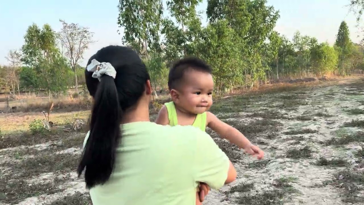 หลังจากราคาวัวตกต่ำ ตอนนี้แม่เลี้ยงอยู่กี่ตัว?